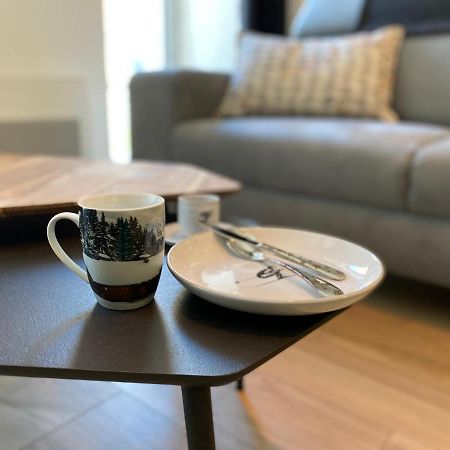 Plein Centre, T3 5P Totalement Renove 55M2. Wifi Appartement Cauterets Buitenkant foto